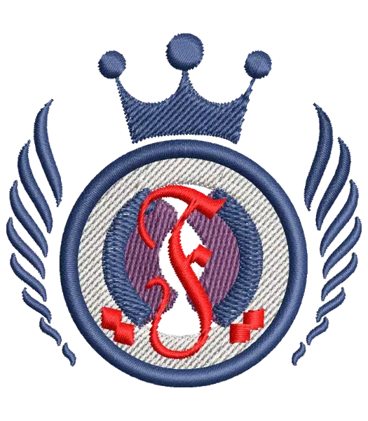 Matriz de Bordado Curso Fonoaudiologia